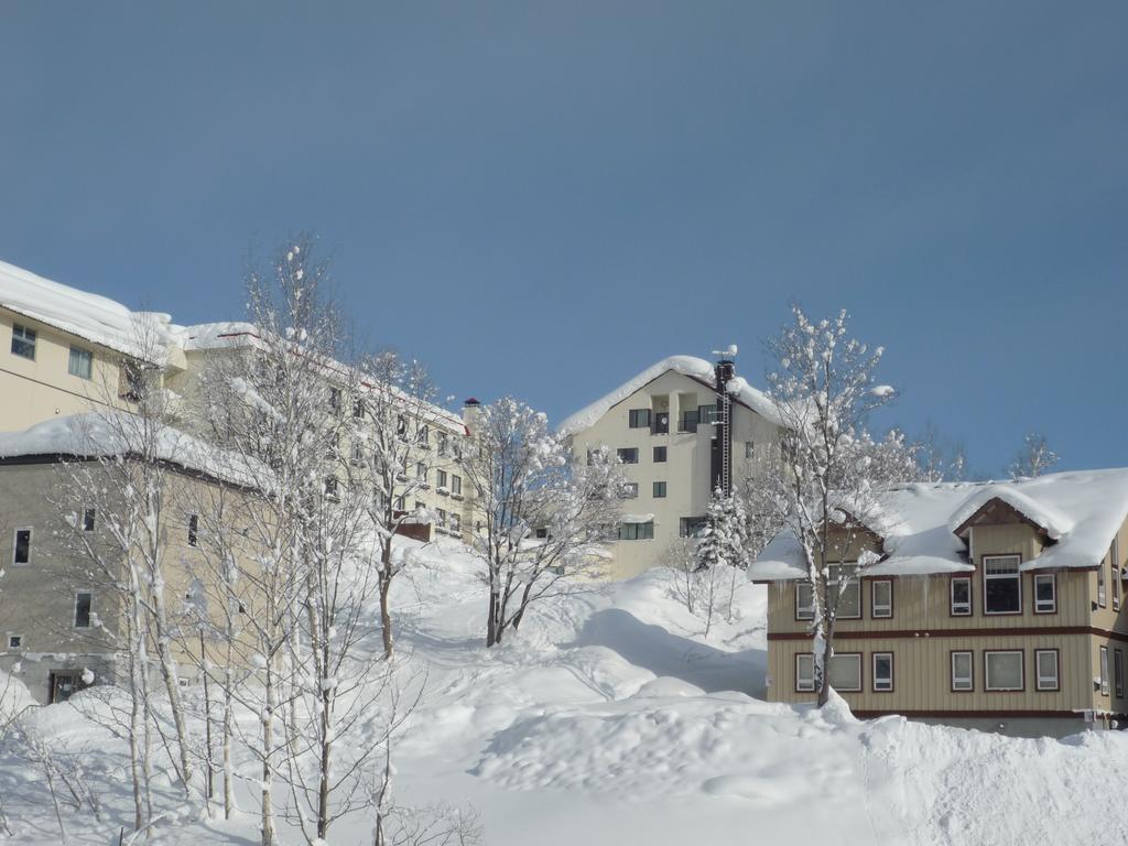 Niseko Park Hotel Экстерьер фото