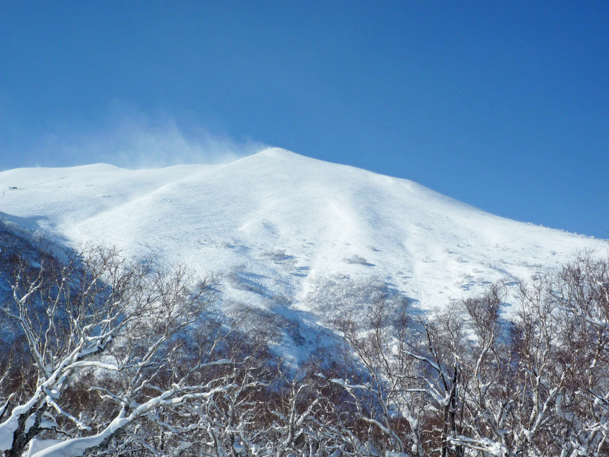 Niseko Park Hotel Экстерьер фото